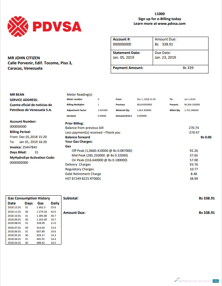 download download Venezuela PDVSA Gas utility bill template in Word and PDF format PDF template PDF template